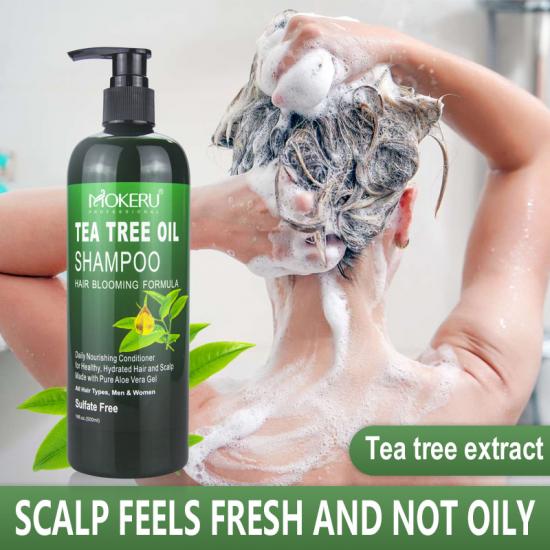 Hot sale tea tree shampoo